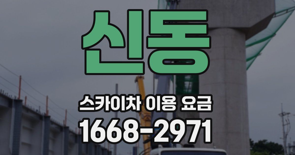 신동 스카이차 이용 요금