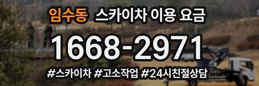 임수동 스카이차 이용 요금