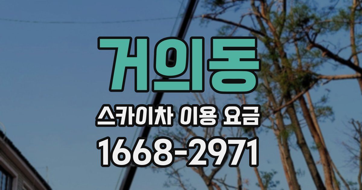 거의동 스카이차 이용 요금