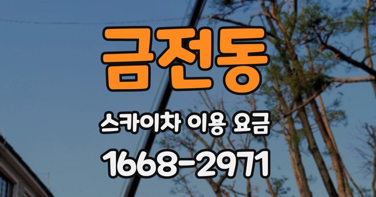 금전동 스카이차 이용 요금