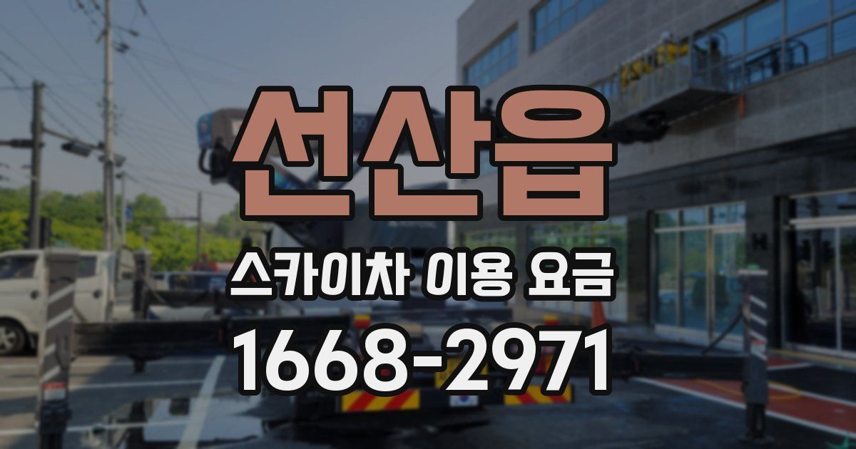 선산읍 스카이차 이용 요금