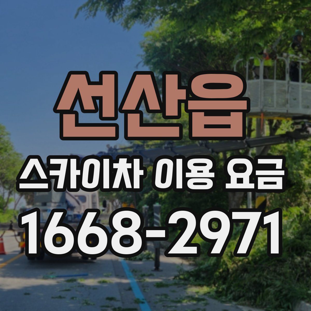 선산읍 스카이차 이용 요금