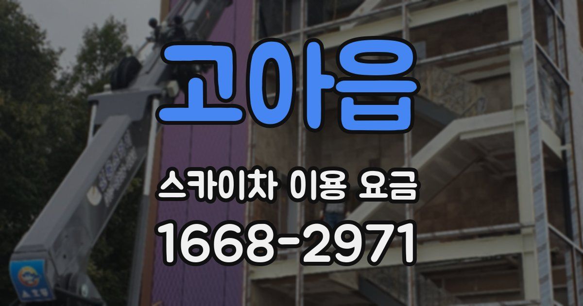 고아읍 스카이차 이용 요금