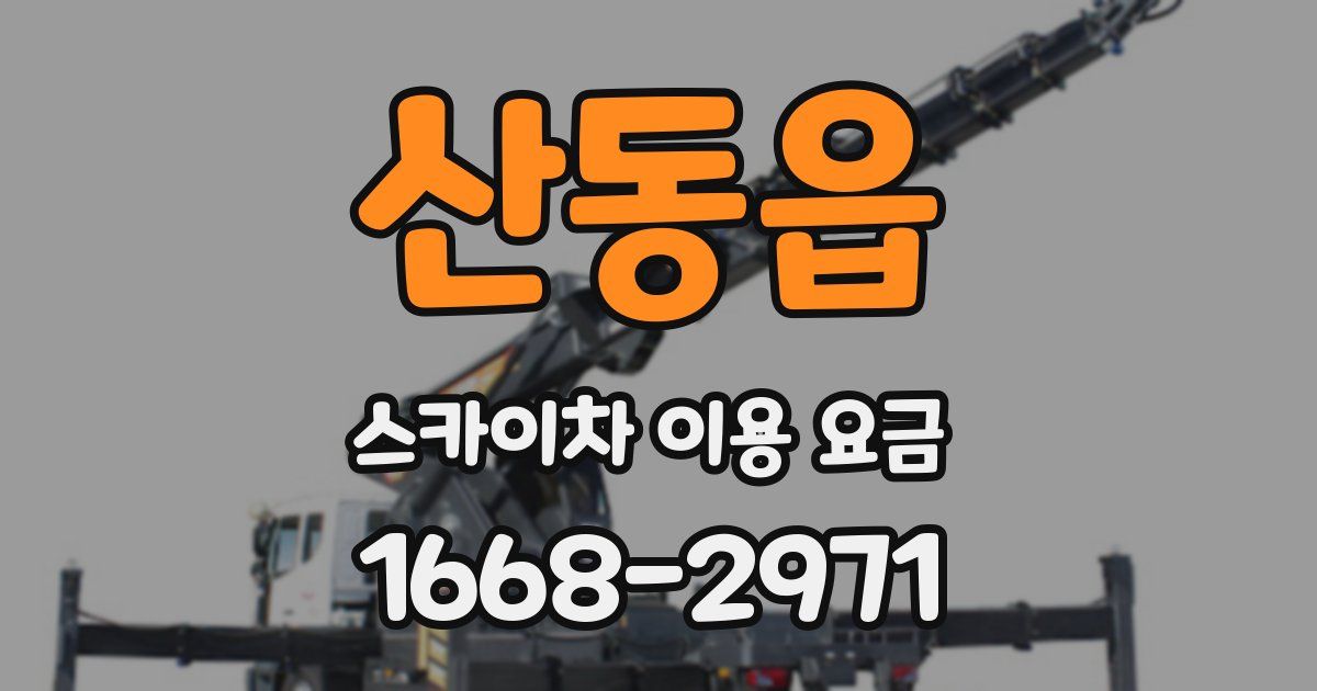 산동읍 스카이차 이용 요금