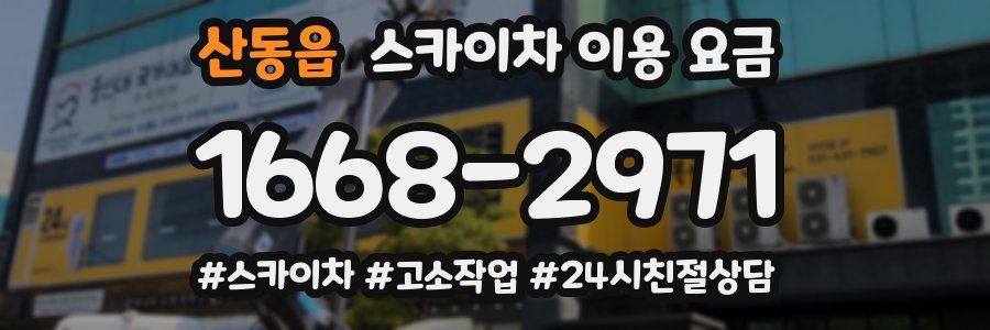 산동읍 스카이차 이용 요금