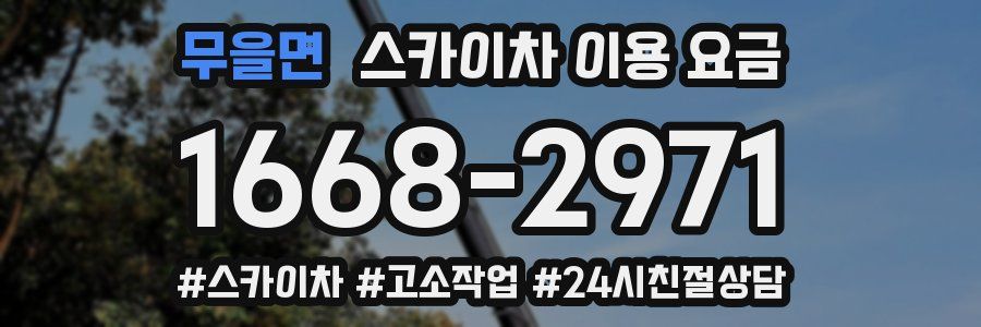 무을면 스카이차 이용 요금