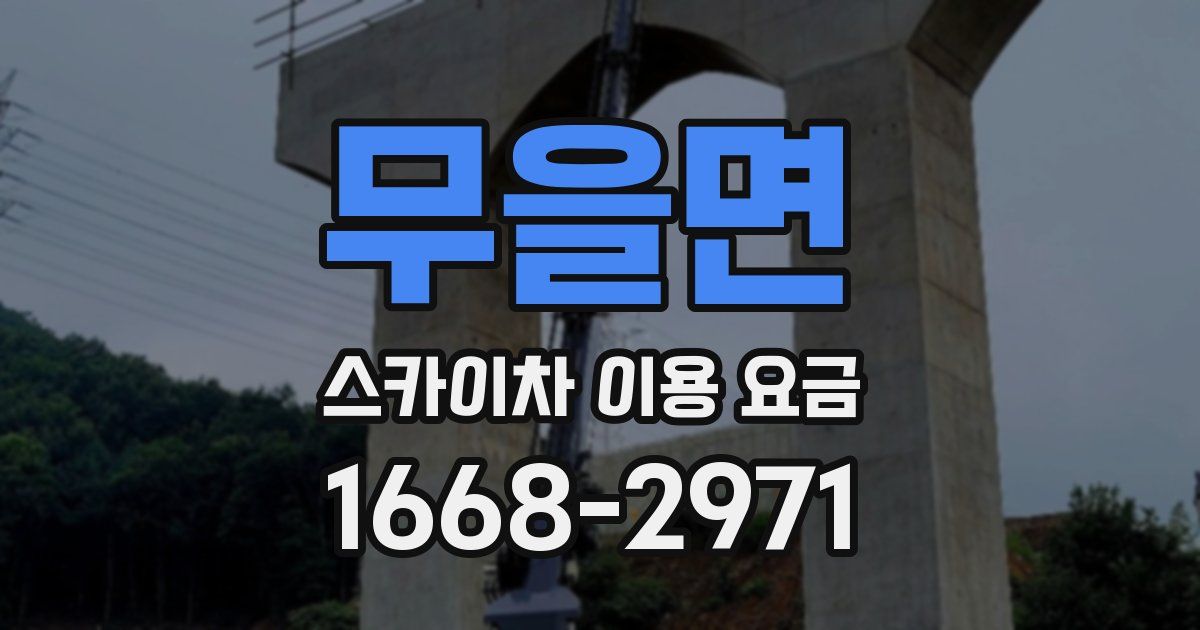 무을면 스카이차 이용 요금