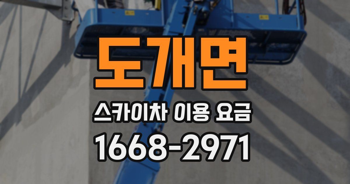 도개면 스카이차 이용 요금
