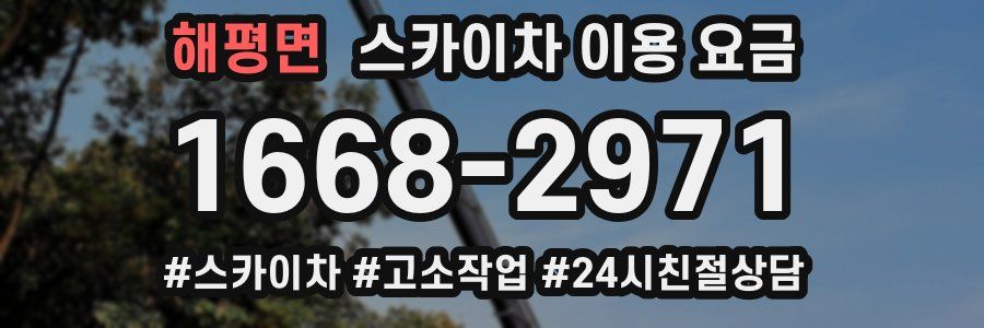 해평면 스카이차 이용 요금