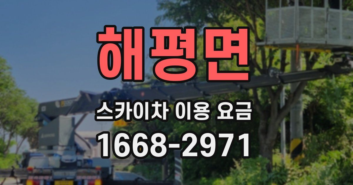 해평면 스카이차 이용 요금