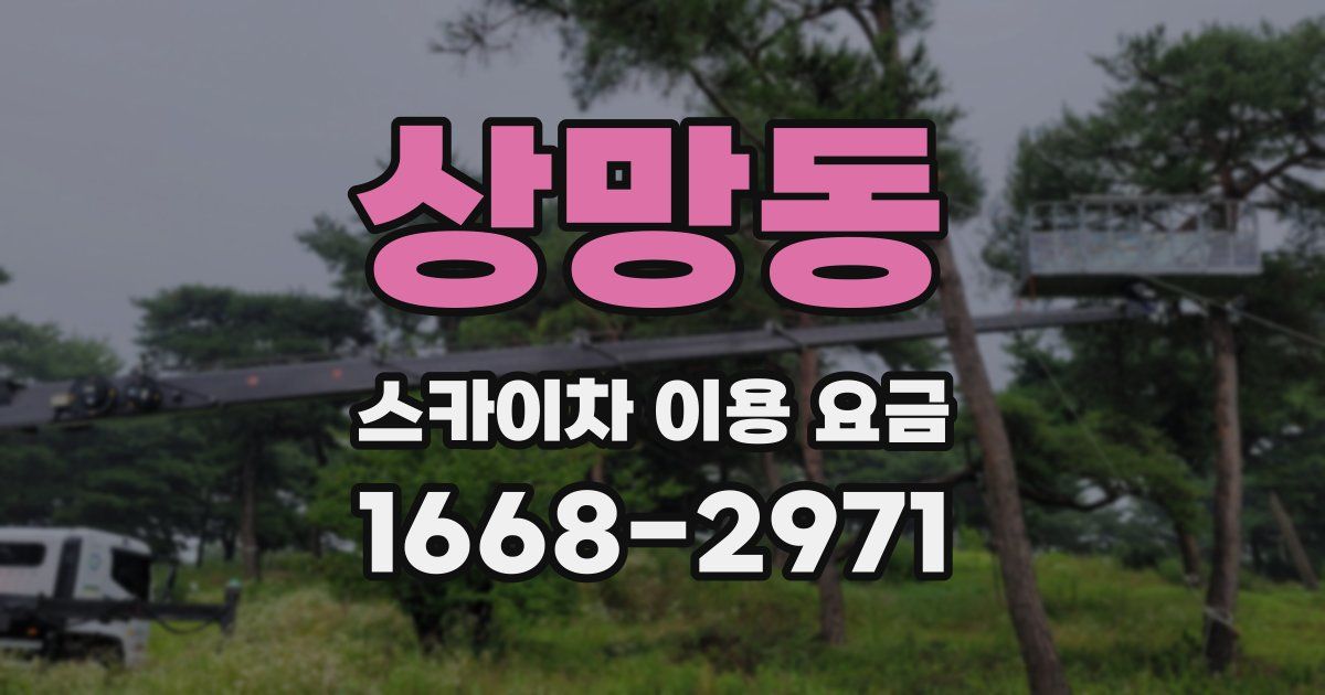 상망동 스카이차 이용 요금