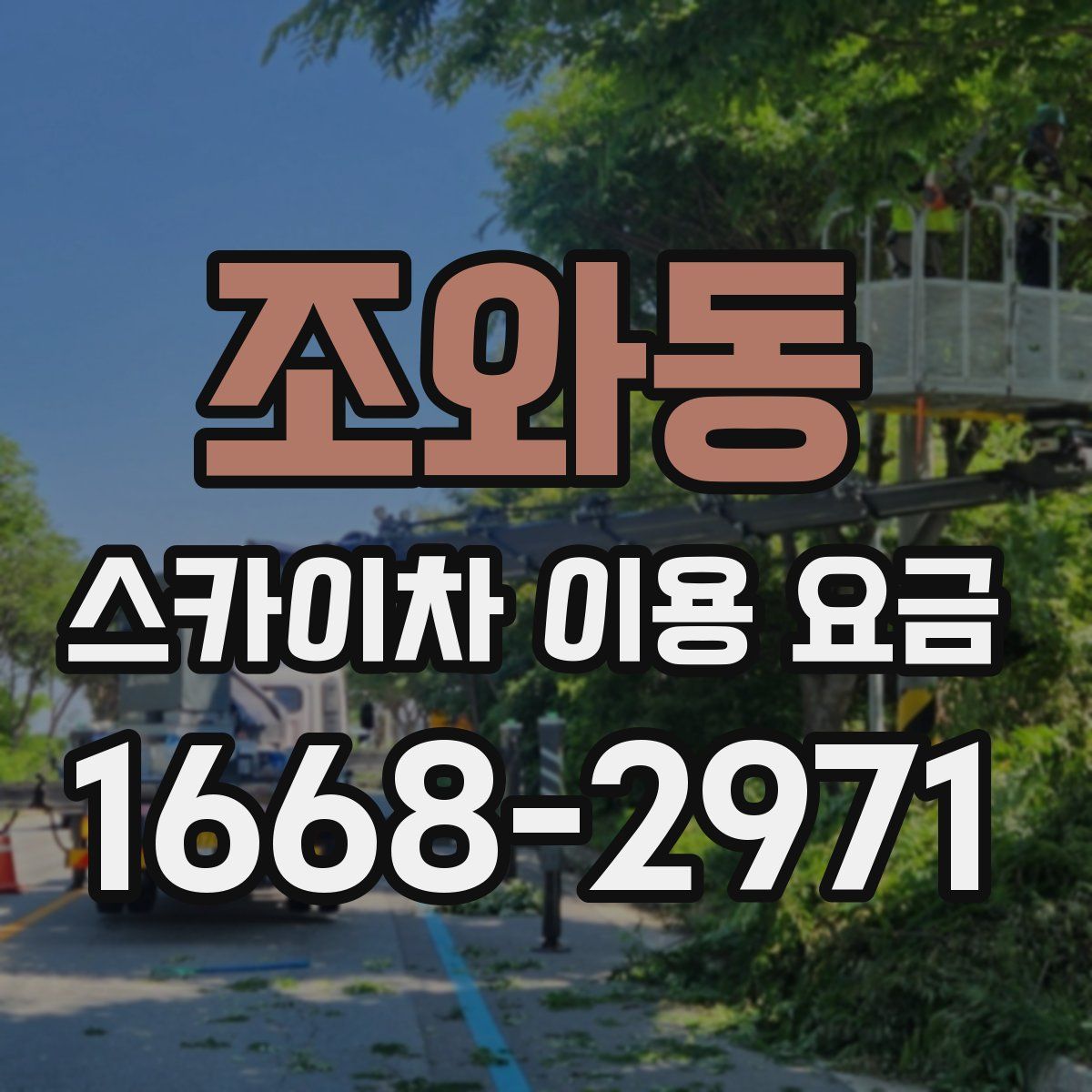 조와동 스카이차 이용 요금