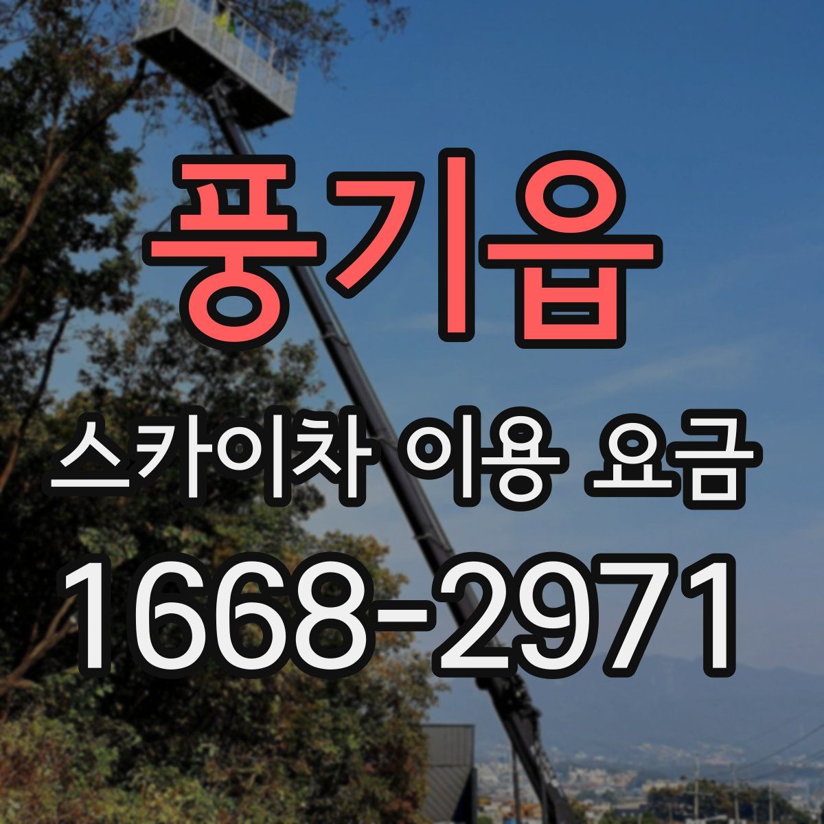 풍기읍 스카이차 이용 요금