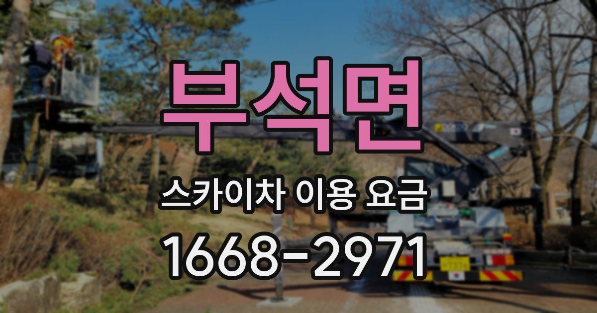 부석면 스카이차 이용 요금