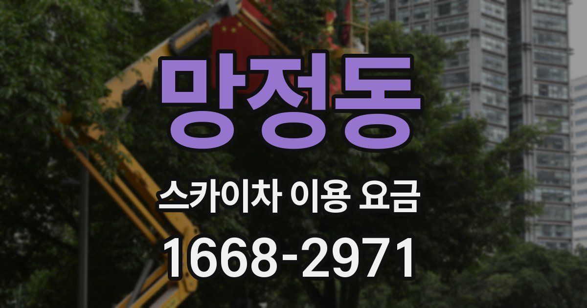 망정동 스카이차 이용 요금