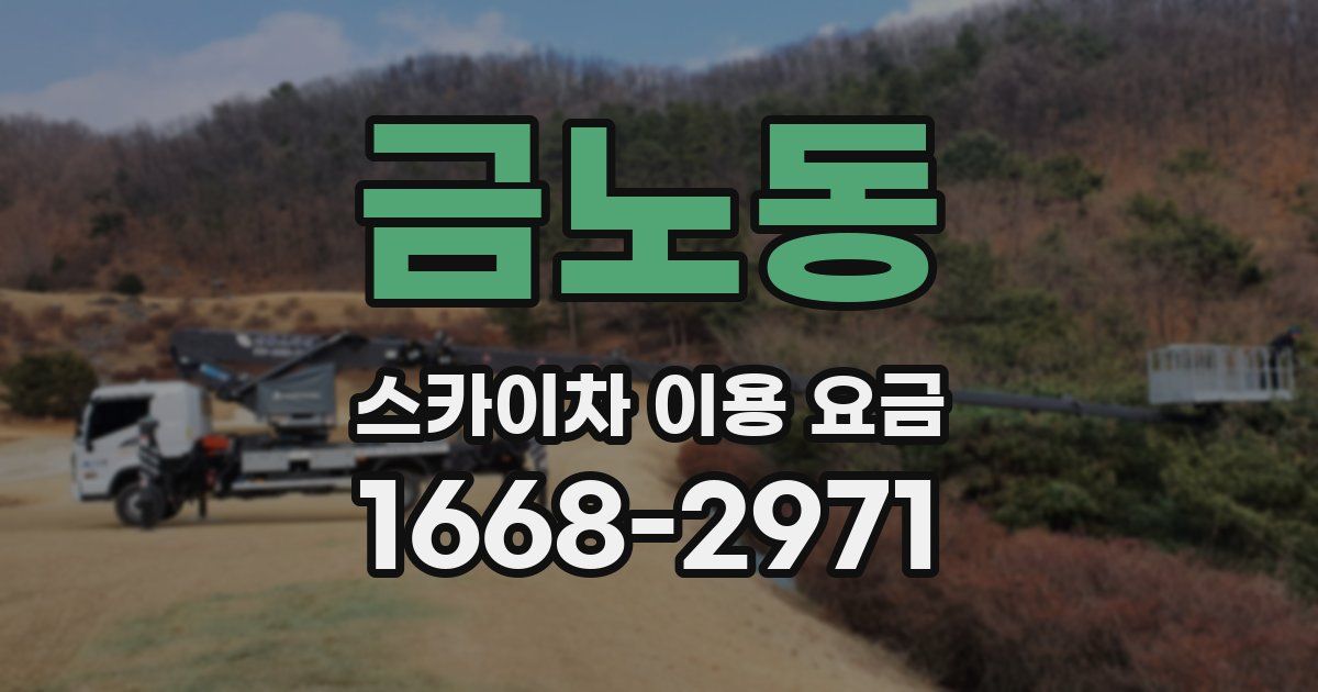 금노동 스카이차 이용 요금