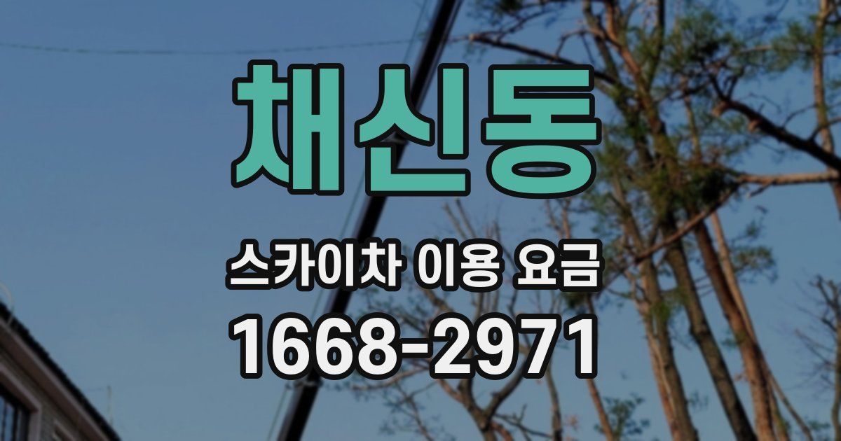 채신동 스카이차 이용 요금