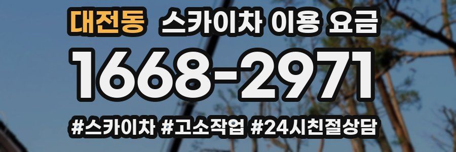 대전동 스카이차 이용 요금