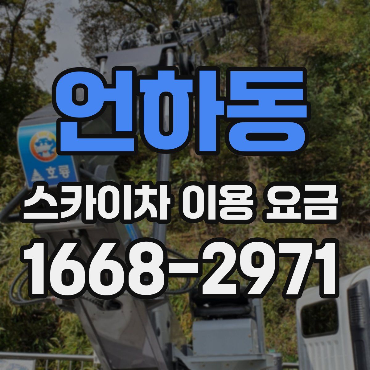 언하동 스카이차 이용 요금