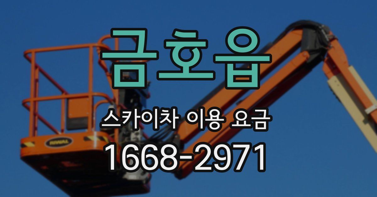 금호읍 스카이차 이용 요금