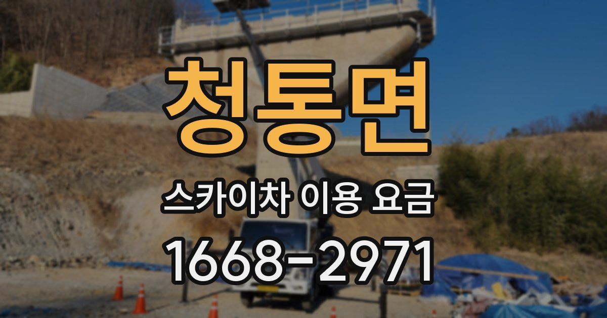 청통면 스카이차 이용 요금