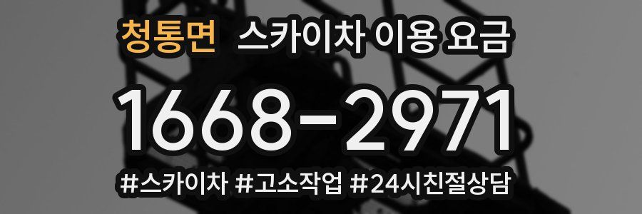 청통면 스카이차 이용 요금