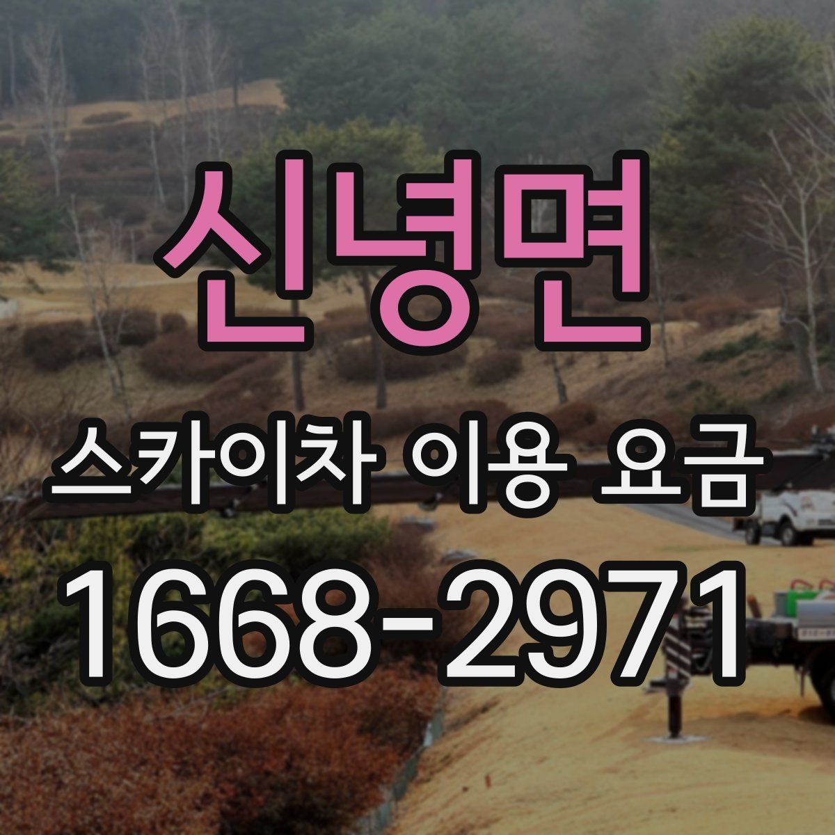 신녕면 스카이차 이용 요금