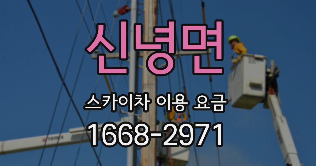 신녕면 스카이차 이용 요금