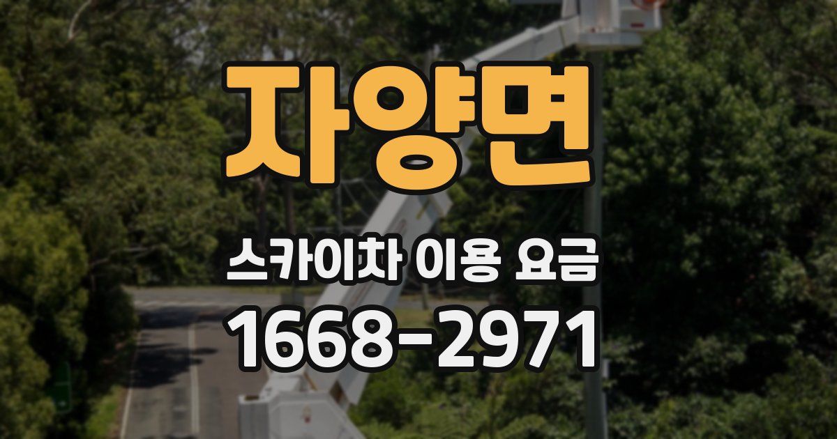 자양면 스카이차 이용 요금