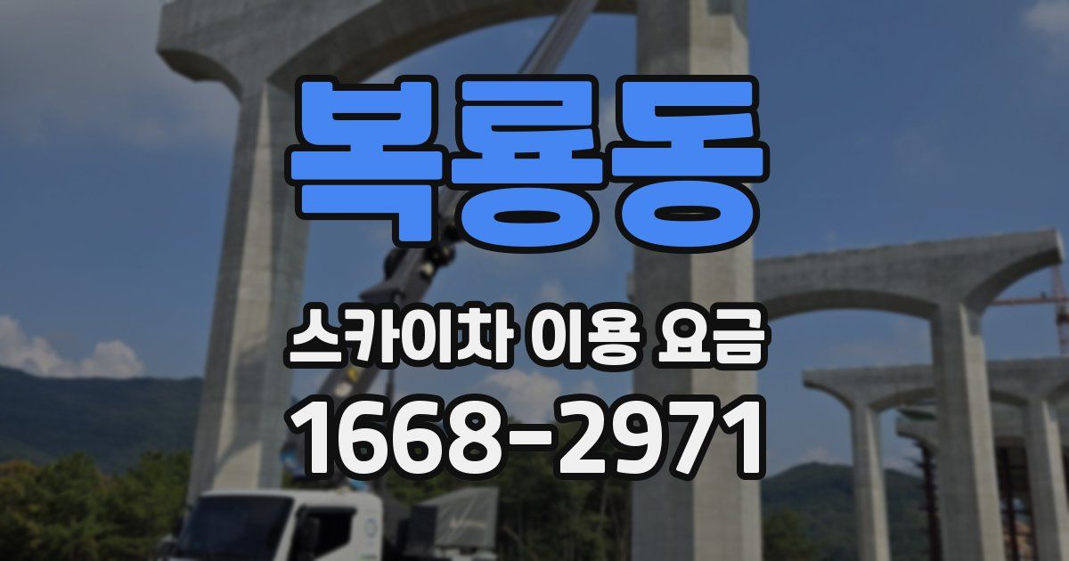 복룡동 스카이차 이용 요금