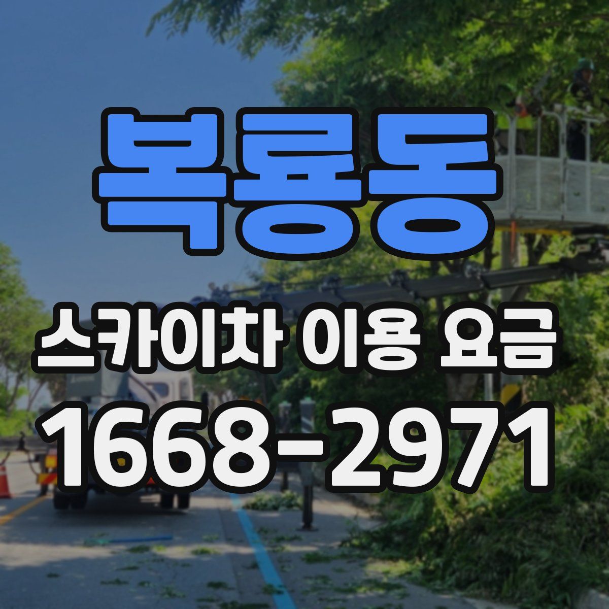 복룡동 스카이차 이용 요금