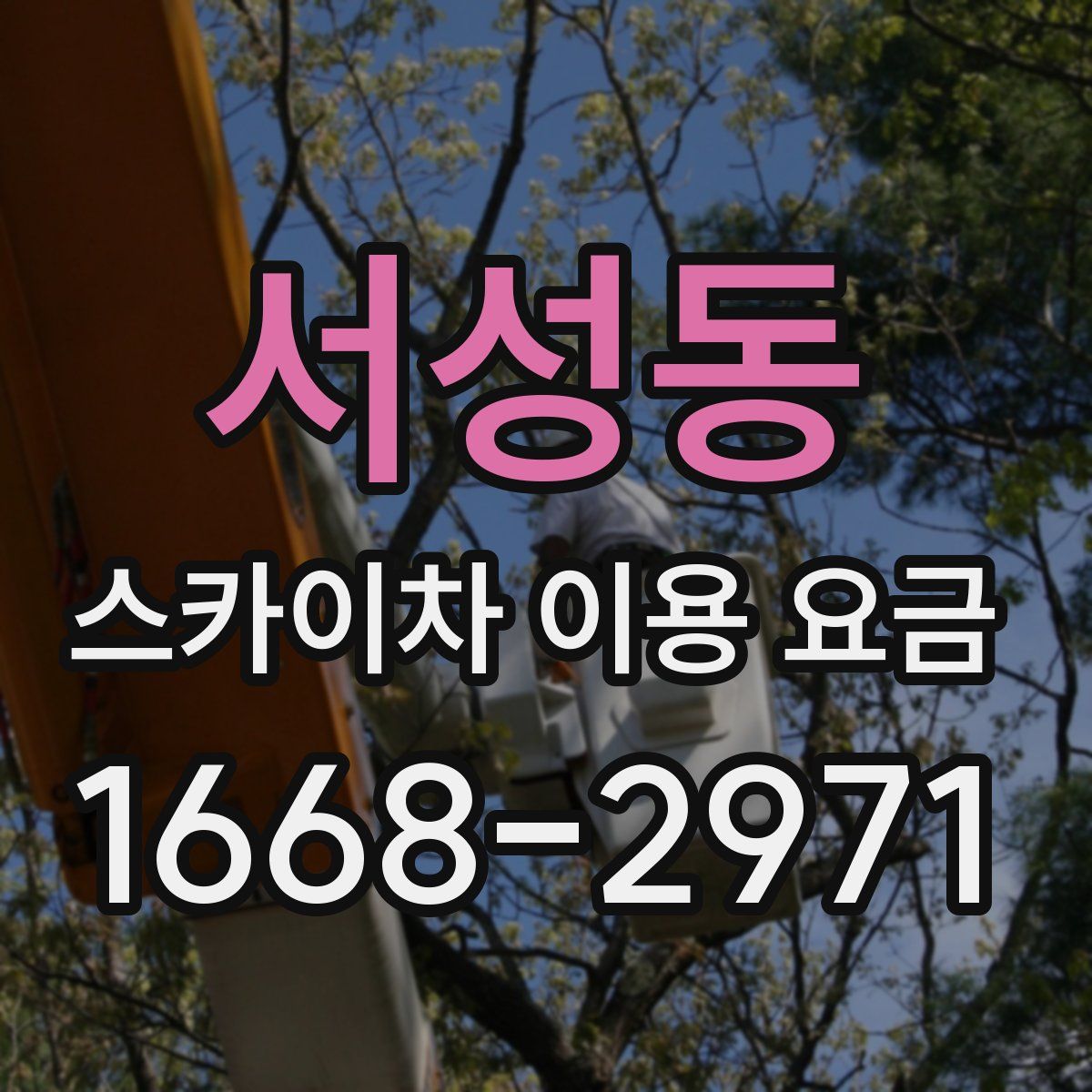 서성동 스카이차 이용 요금