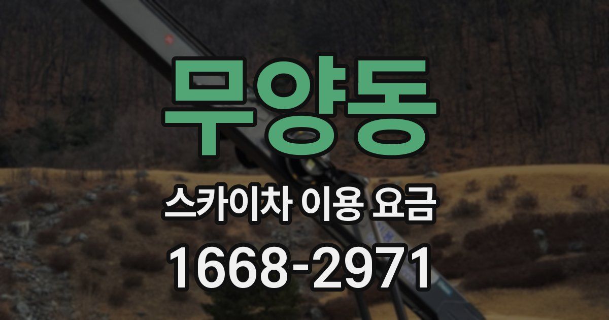 무양동 스카이차 이용 요금