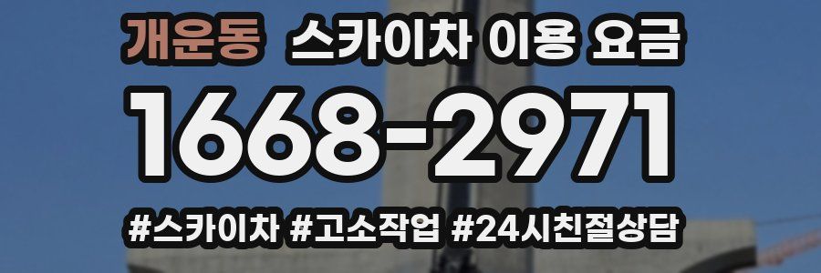 개운동 스카이차 이용 요금
