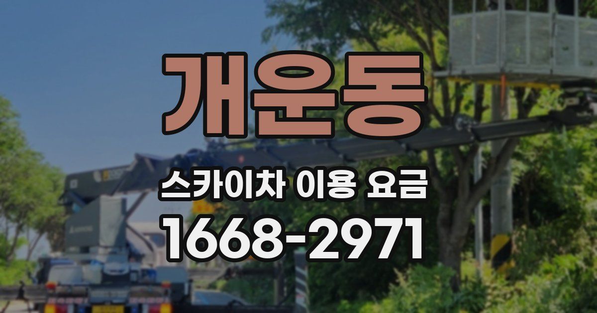 개운동 스카이차 이용 요금