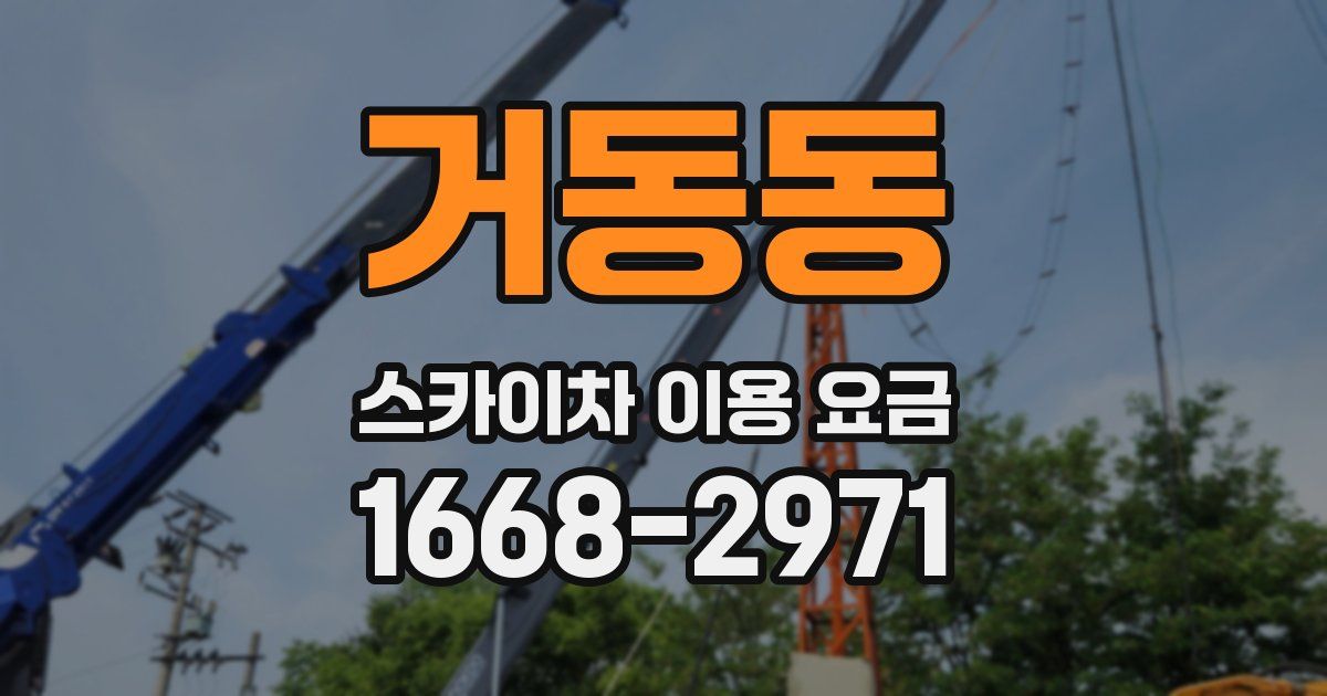 거동동 스카이차 이용 요금