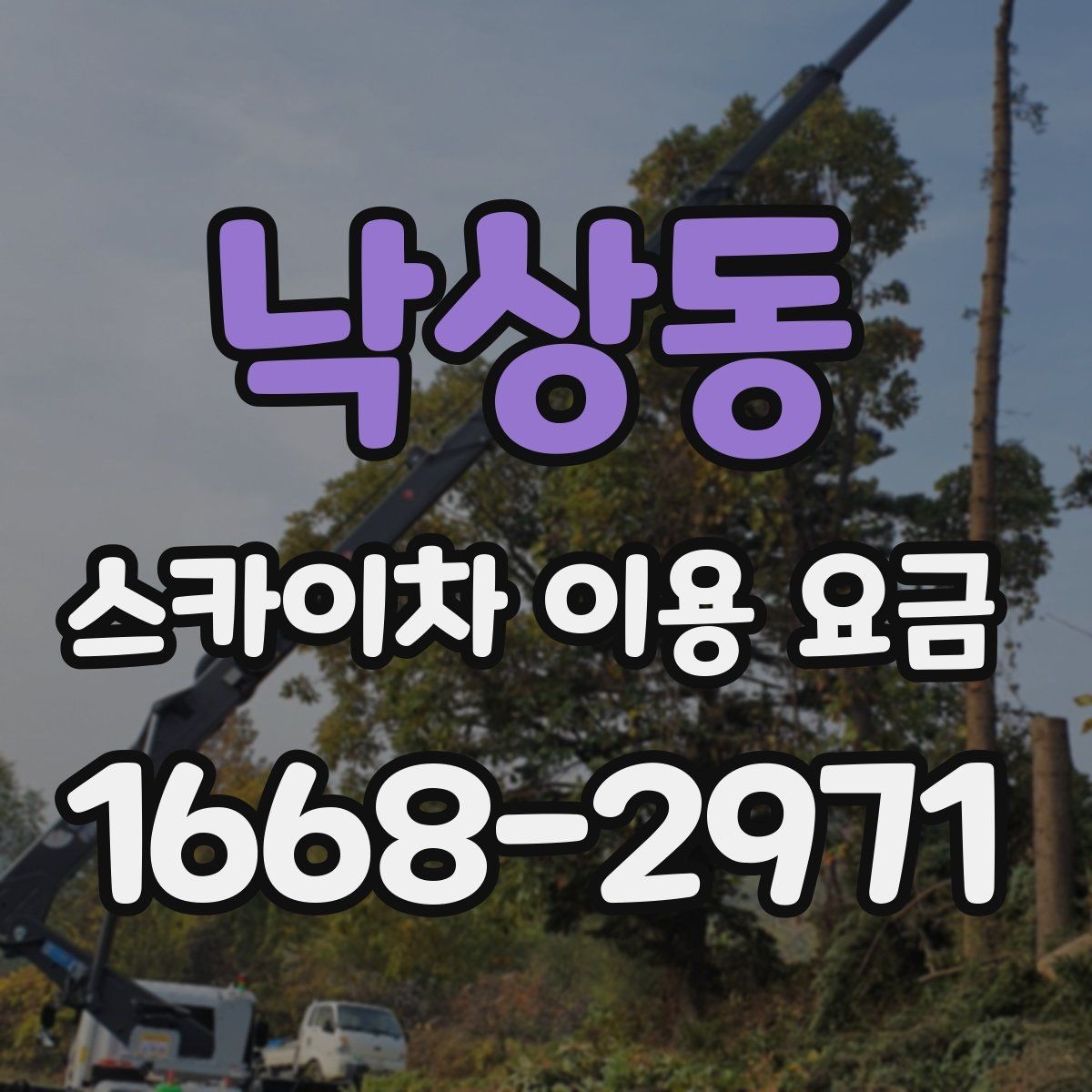 낙상동 스카이차 이용 요금 문의 전 알아두면 좋은 점