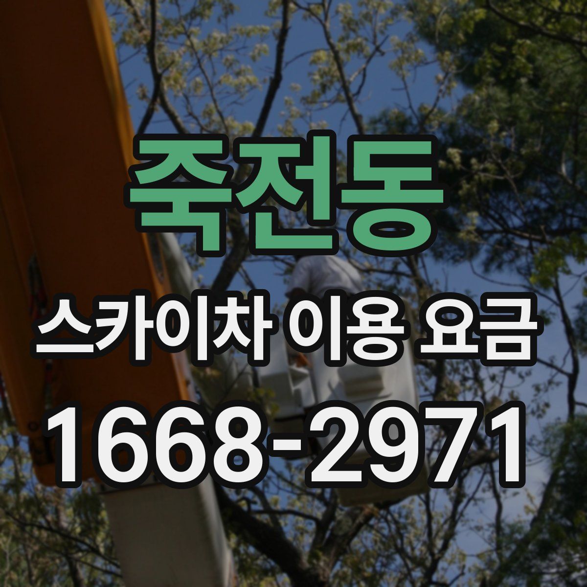죽전동 스카이차 이용 요금