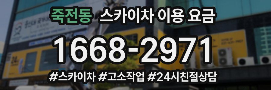 죽전동 스카이차 이용 요금