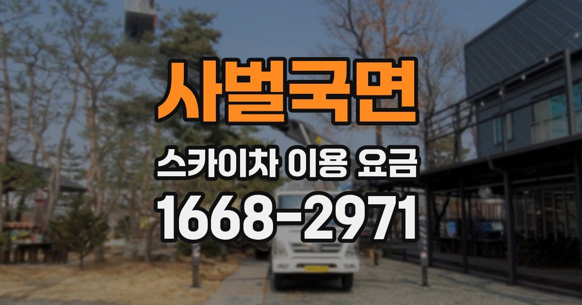 사벌국면 스카이차 이용 요금