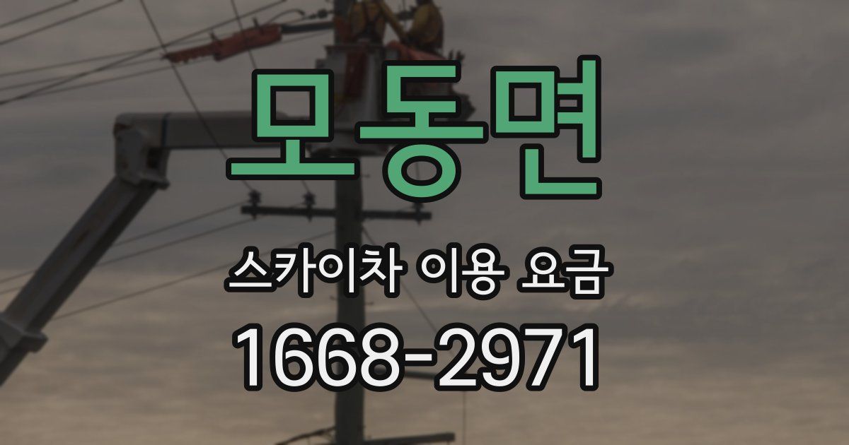 모동면 스카이차 이용 요금