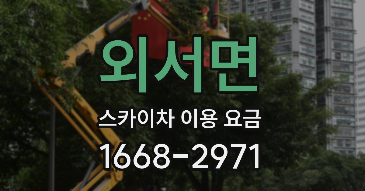 외서면 스카이차 이용 요금