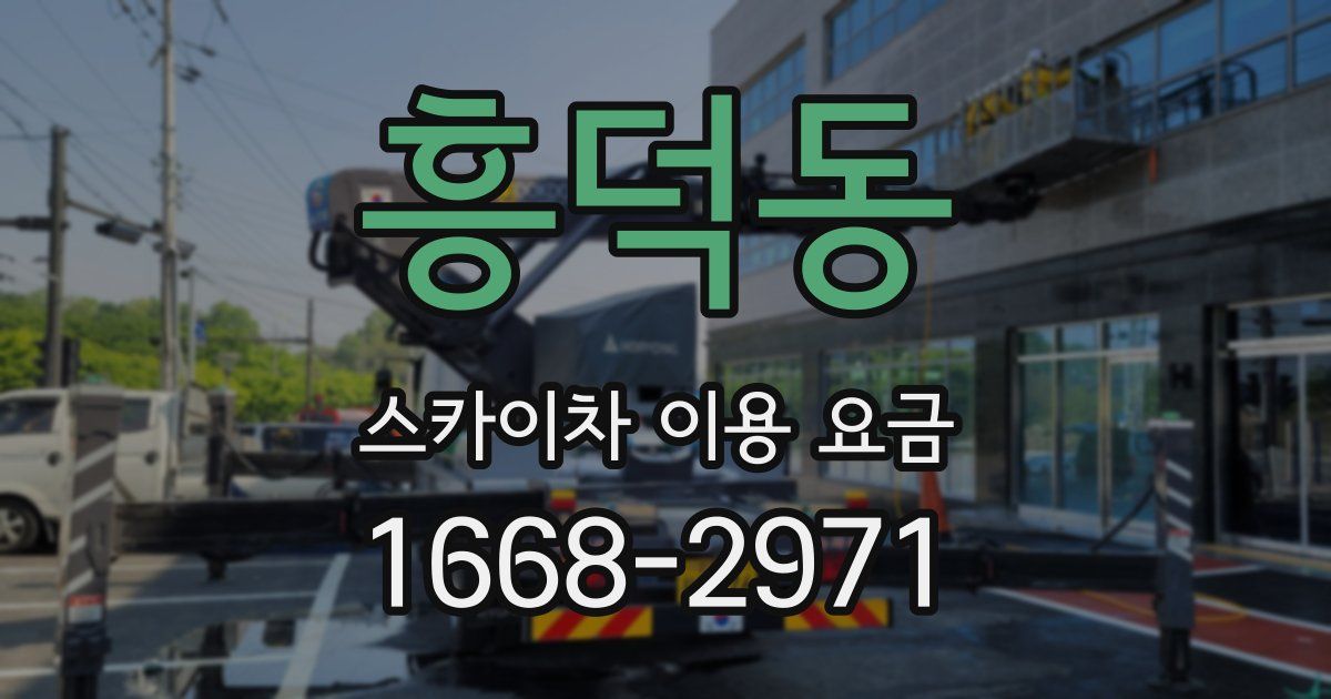 흥덕동 스카이차 이용 요금