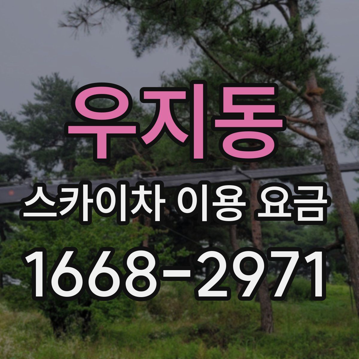 우지동 스카이차 이용 요금