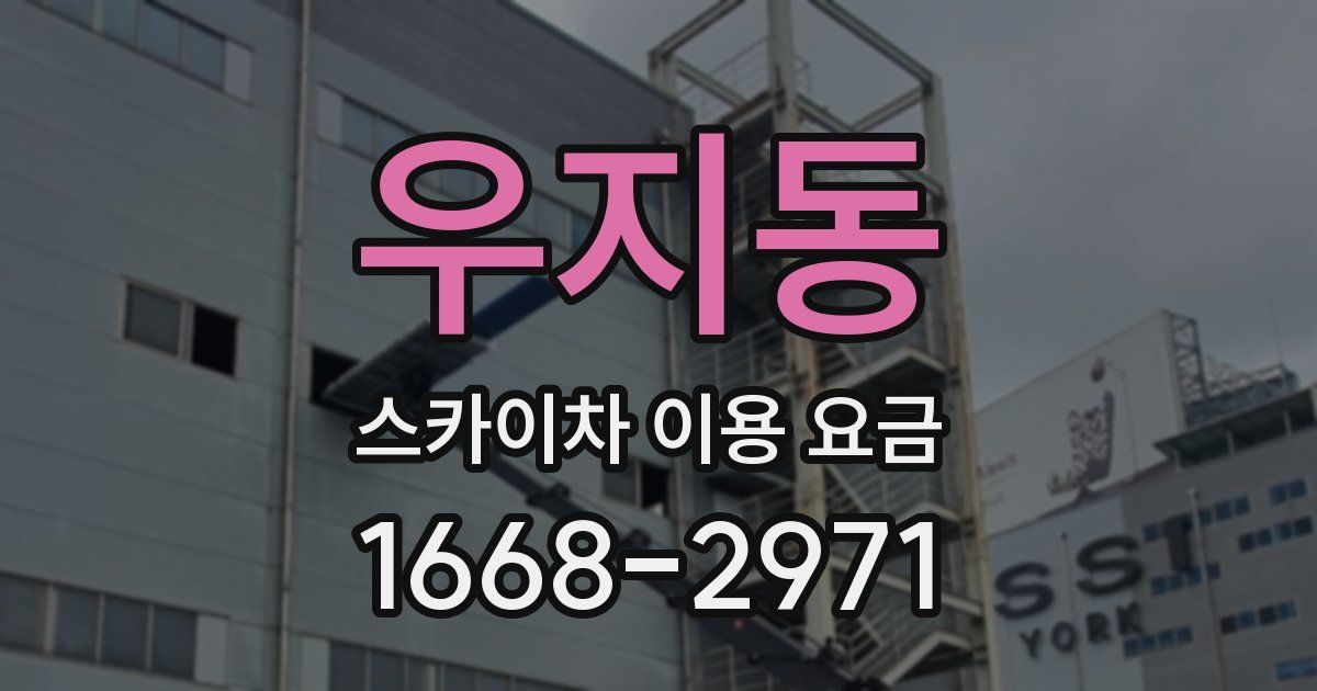 우지동 스카이차 이용 요금