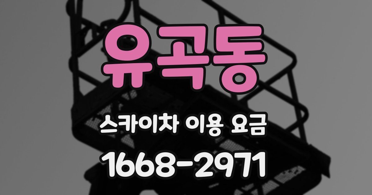 유곡동 스카이차 이용 요금