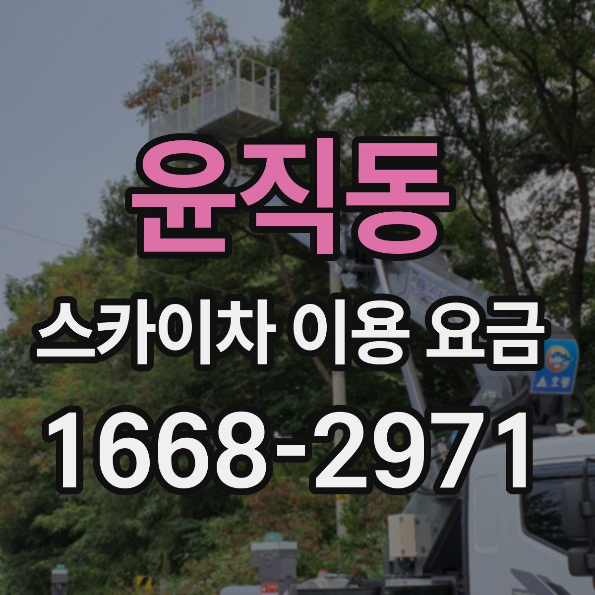 윤직동 스카이차 이용 요금