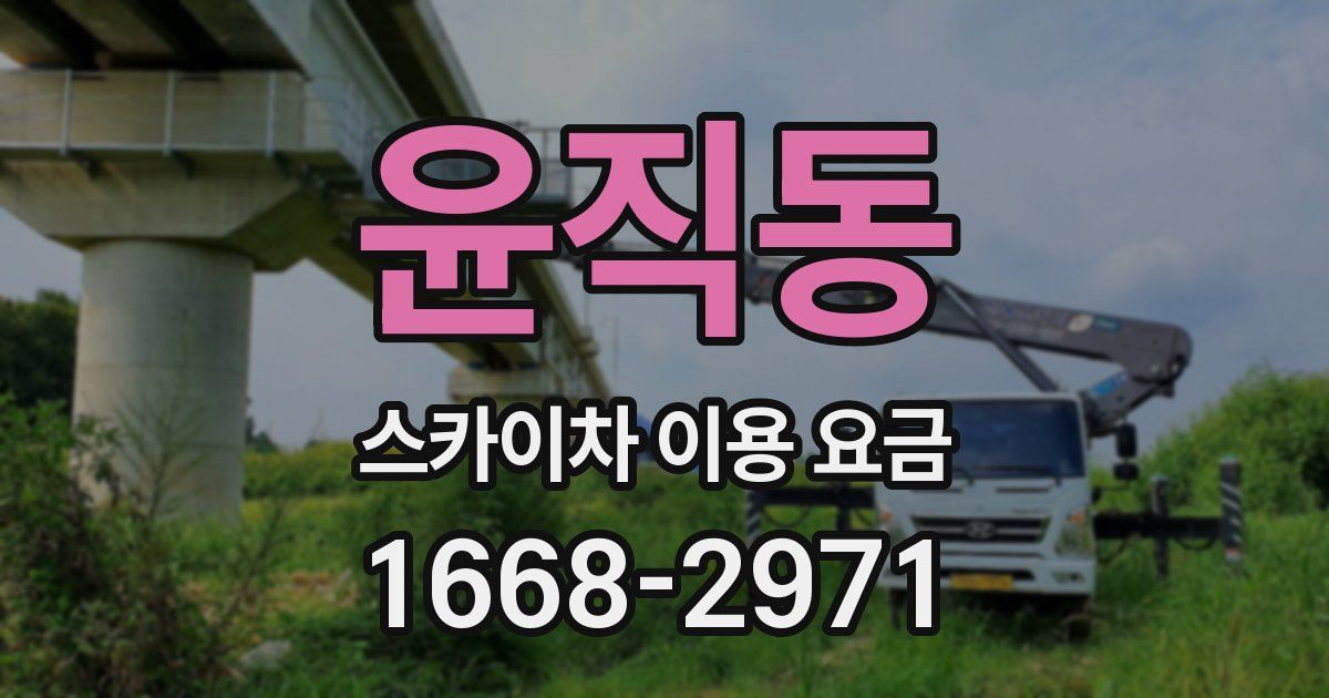 윤직동 스카이차 이용 요금