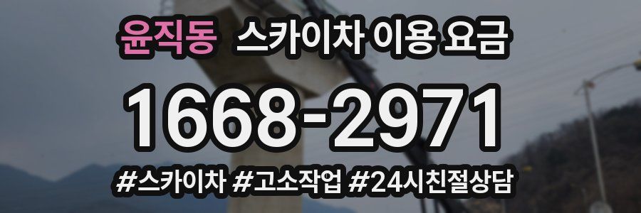 윤직동 스카이차 이용 요금