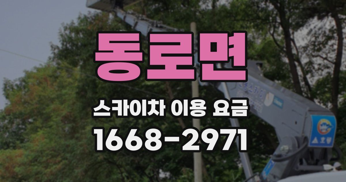 동로면 스카이차 이용 요금